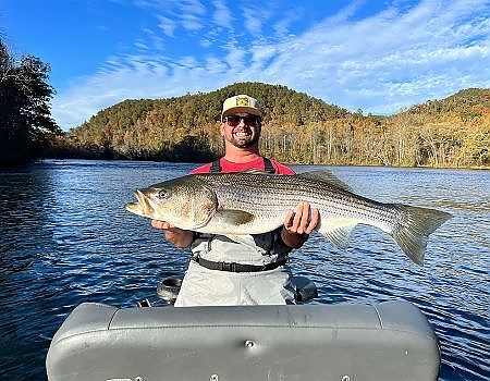 Man holds up fish caught during Blue Ridge fly-fishing trip